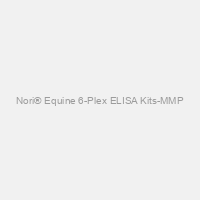 Nori® Equine 6-Plex ELISA Kits-MMP